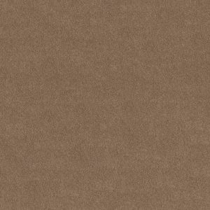 Anderson Tuftex Carpet CASHMERE CLASSIC I - 00722 PEBBLE PATH