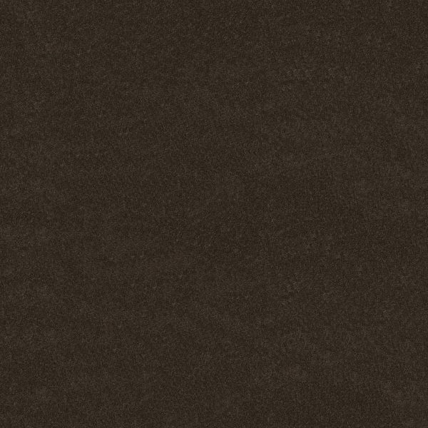 Anderson Tuftex Carpet CASHMERE CLASSIC I - 00726 CHESTNUT