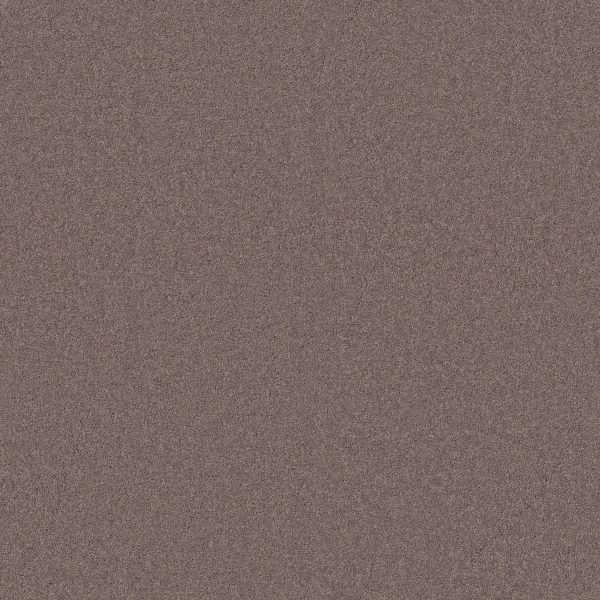Anderson Tuftex Carpet CASHMERE CLASSIC I - 00922 HEATHER