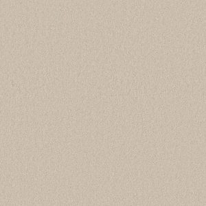 Anderson Tuftex Carpet CASHMERE CLASSIC II - 00121 FRESH CREAM