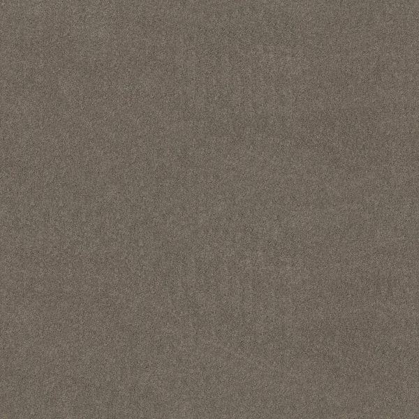 Anderson Tuftex Carpet CASHMERE CLASSIC II - 00525 BARNBOARD