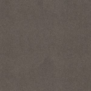 Anderson Tuftex Carpet CASHMERE CLASSIC II - 00526 CHINCHILLA