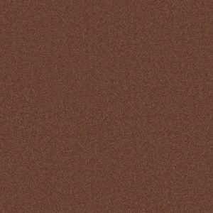 Anderson Tuftex Carpet CASHMERE CLASSIC II - 00620 RICH HENNA