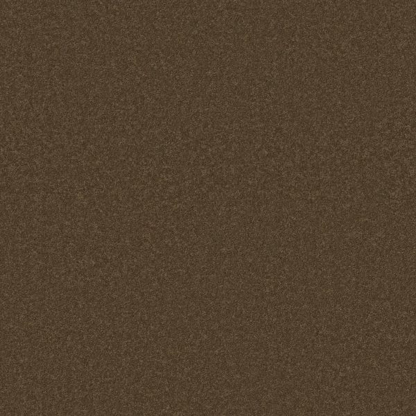 Anderson Tuftex Carpet CASHMERE CLASSIC II - 00707 BISON