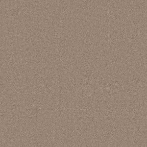 Anderson Tuftex Carpet CASHMERE CLASSIC II - 00720 WHITE PINE