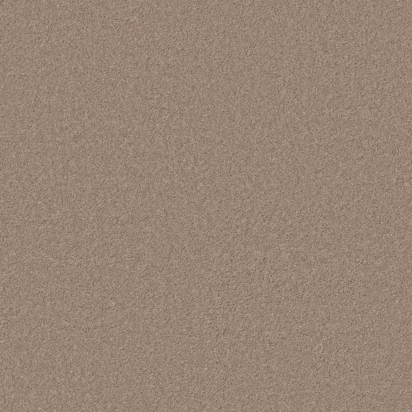 Anderson Tuftex Carpet CASHMERE CLASSIC II - 00720 WHITE PINE