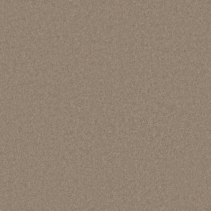 Anderson Tuftex Carpet CASHMERE CLASSIC II - 00721 PECAN BARK