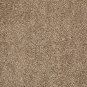 Anderson Tuftex Carpet CASHMERE CLASSIC II - 00722 PEBBLE PATH