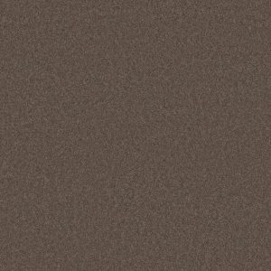 Anderson Tuftex Carpet CASHMERE CLASSIC II - 00725 SPRING - WOOD