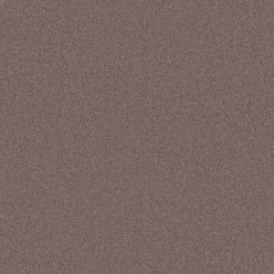 Anderson Tuftex Carpet CASHMERE CLASSIC II - 00922 HEATHER