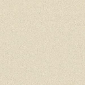 Anderson Tuftex Carpet CASHMERE CLASSIC III - 00100 ICELANDIC