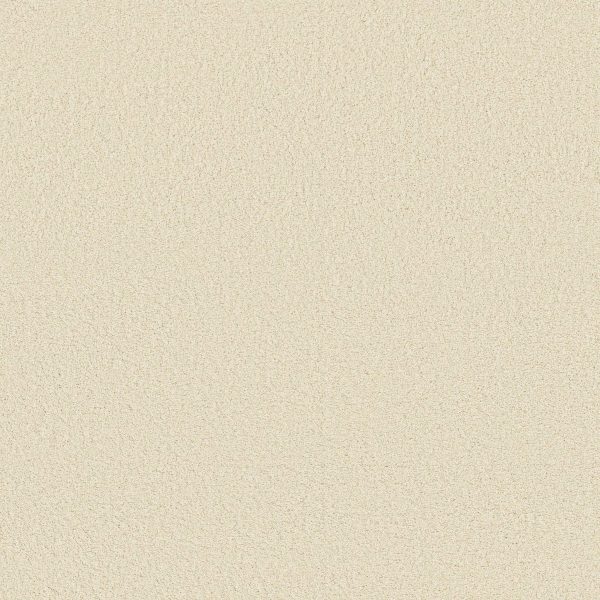 Anderson Tuftex Carpet CASHMERE CLASSIC III - 00100 ICELANDIC