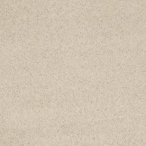 Anderson Tuftex Carpet CASHMERE CLASSIC III - 00104 CHEVIOT
