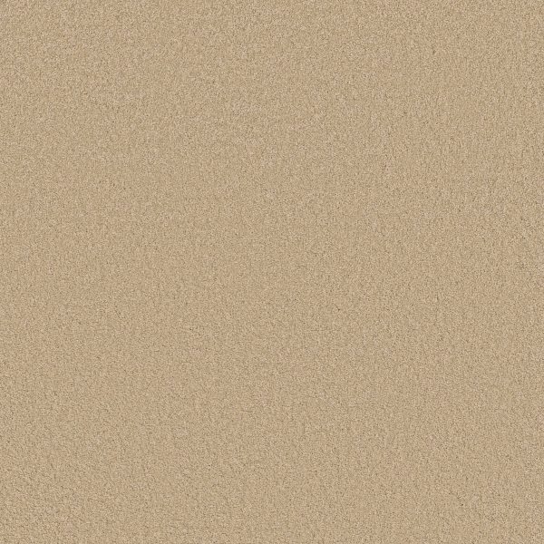 Anderson Tuftex Carpet CASHMERE CLASSIC III - 00107 YEARLING
