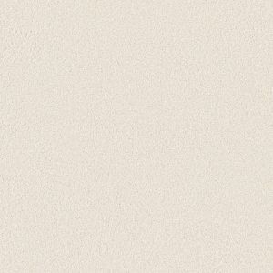 Anderson Tuftex Carpet CASHMERE CLASSIC III - 00120 CRISP