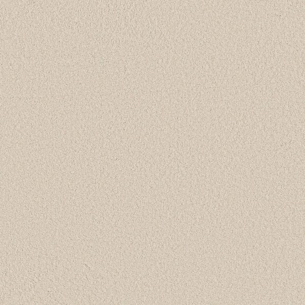 Anderson Tuftex Carpet CASHMERE CLASSIC III - 00121 FRESH CREAM