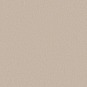 Anderson Tuftex Carpet CASHMERE CLASSIC III - 00122 HEIRLOOM