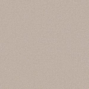 Anderson Tuftex Carpet CASHMERE CLASSIC III - 00124 BISMUTH