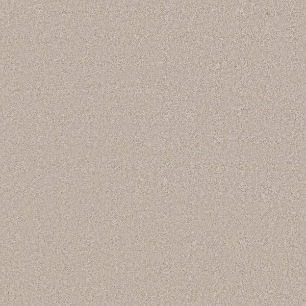 Anderson Tuftex Carpet CASHMERE CLASSIC III - 00124 BISMUTH