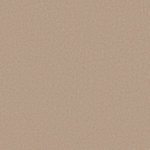 Anderson Tuftex Carpet CASHMERE CLASSIC III - 00126 HARVEST MOON