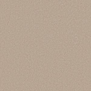 Anderson Tuftex Carpet CASHMERE CLASSIC III - 00127 SUEDE