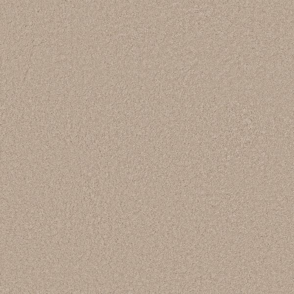 Anderson Tuftex Carpet CASHMERE CLASSIC III - 00127 SUEDE