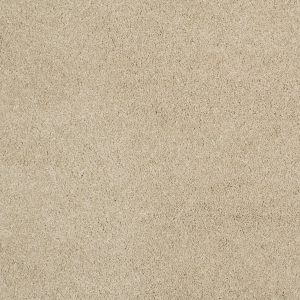 Anderson Tuftex Carpet CASHMERE CLASSIC III - 00128 GENTLE DOE
