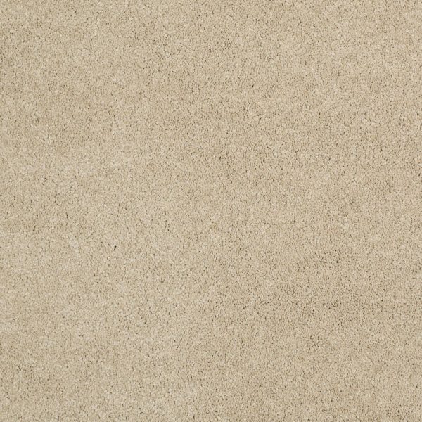 Anderson Tuftex Carpet CASHMERE CLASSIC III - 00128 GENTLE DOE