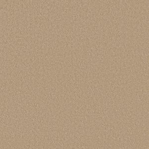 Anderson Tuftex Carpet CASHMERE CLASSIC III - 00221 MANILLA