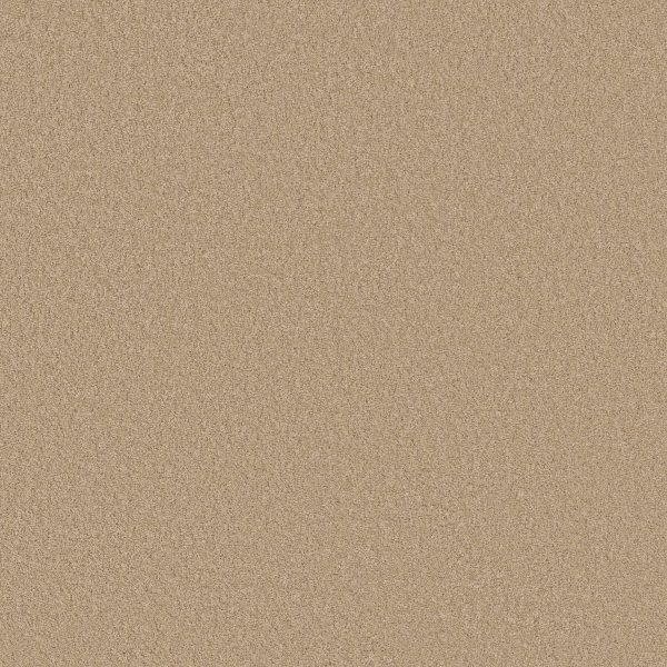 Anderson Tuftex Carpet CASHMERE CLASSIC III - 00221 MANILLA