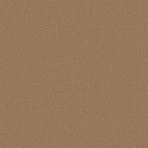 Anderson Tuftex Carpet CASHMERE CLASSIC III - 00222 BRASS LANTERN