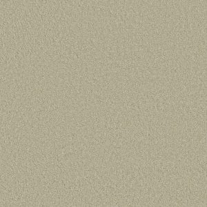 Anderson Tuftex Carpet CASHMERE CLASSIC III - 00322 CELADON