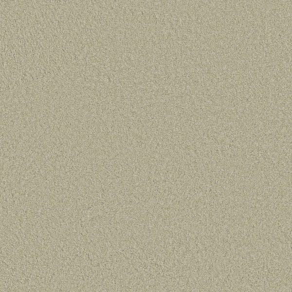 Anderson Tuftex Carpet CASHMERE CLASSIC III - 00322 CELADON