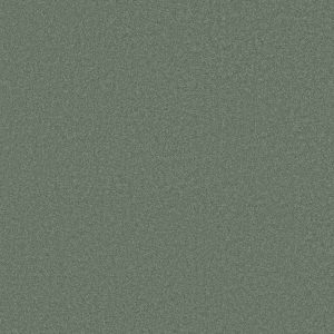 Anderson Tuftex Carpet CASHMERE CLASSIC III - 00323 JADE