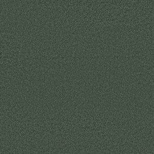 Anderson Tuftex Carpet CASHMERE CLASSIC III - 00324 EMERALD