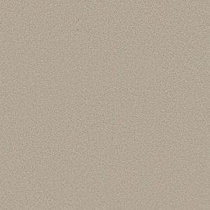 Anderson Tuftex Carpet CASHMERE CLASSIC III - 00511 STERLING