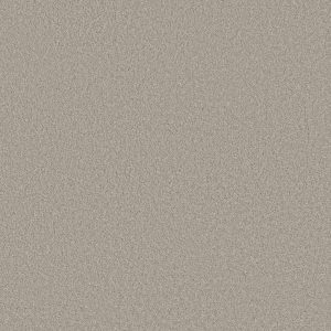 Anderson Tuftex Carpet CASHMERE CLASSIC III - 00520 FROTH
