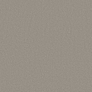 Anderson Tuftex Carpet CASHMERE CLASSIC III - 00521 HAZE