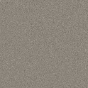 Anderson Tuftex Carpet CASHMERE CLASSIC III - 00522 BIRCH BARK