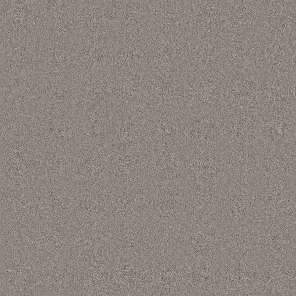 Anderson Tuftex Carpet CASHMERE CLASSIC III - 00522 BIRCH BARK