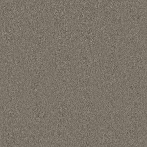 Anderson Tuftex Carpet CASHMERE CLASSIC III - 00525 BARNBOARD