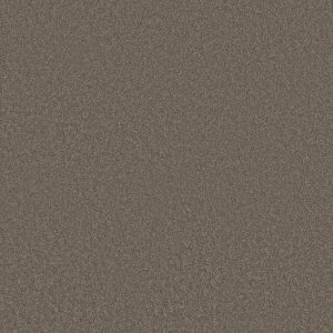 Anderson Tuftex Carpet CASHMERE CLASSIC III - 00526 CHINCHILLA