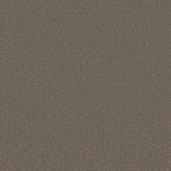 Anderson Tuftex Carpet CASHMERE CLASSIC III - 00526 CHINCHILLA