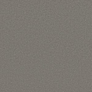 Anderson Tuftex Carpet CASHMERE CLASSIC III - 00527 SHALESTONE
