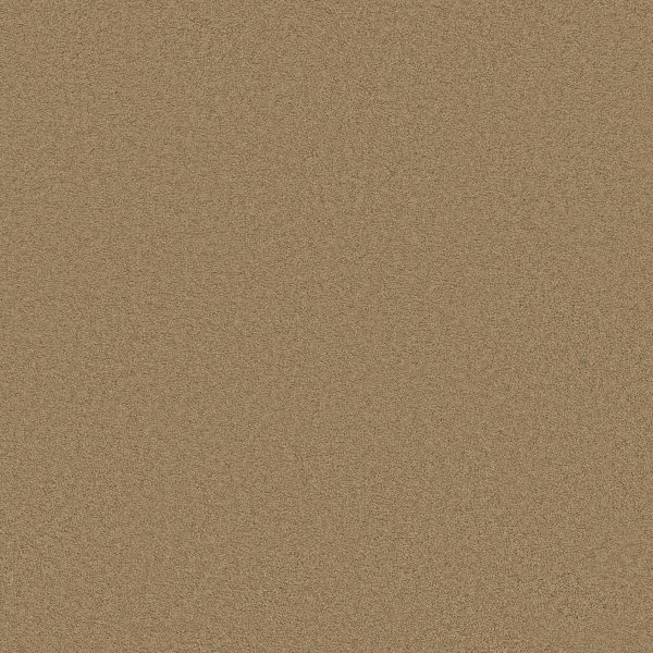 Anderson Tuftex Carpet CASHMERE CLASSIC III - 00703 NAVAJO
