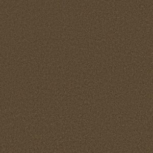 Anderson Tuftex Carpet CASHMERE CLASSIC III - 00707 BISON