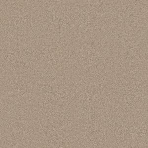 Anderson Tuftex Carpet CASHMERE CLASSIC III - 00720 WHITE PINE