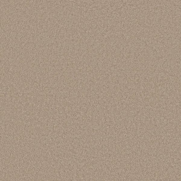 Anderson Tuftex Carpet CASHMERE CLASSIC III - 00720 WHITE PINE