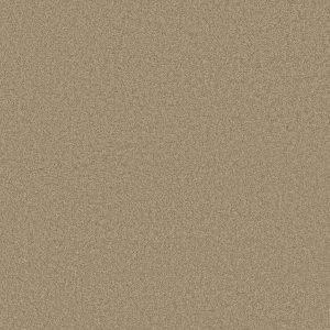 Anderson Tuftex Carpet CASHMERE CLASSIC III - 00721 PECAN BARK