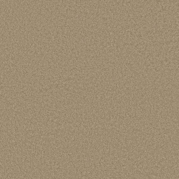 Anderson Tuftex Carpet CASHMERE CLASSIC III - 00721 PECAN BARK